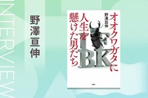 “幻の恋人”に抱くような恋心にも似た憧れを、多くの少年に植え付けた。他のクワガタとは違ったオオクワガタの特殊な生態！『オオクワガタに人生を懸けた男たち』野澤亘伸インタビュー（後編）:イメージ