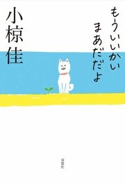 もういいかい まあだだよ