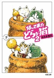 帰って来たどらン猫 2 下
