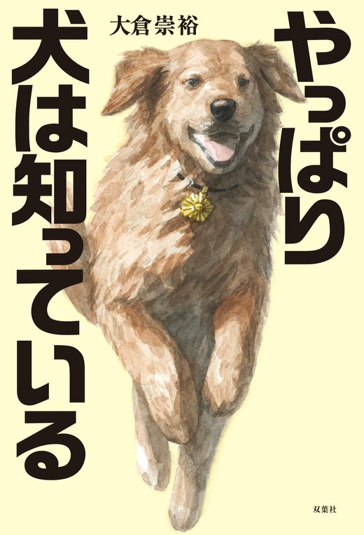 やっぱり犬は知っている｜COLORFUL