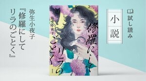 修羅にしてリラのごとく:イメージ