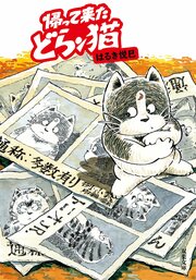 帰って来たどらン猫