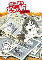 帰って来たどらン猫