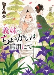 義妹にちょっかいは無用にて 3