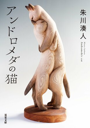 『アンドロメダの猫』朱川湊人