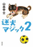 出会った人に小さな奇跡をもたらすという噂の黒柴〔マジック〕。この本を手に取ったあなたにも、奇跡が訪れますように　『迷犬マジック２』山本甲士:イメージ