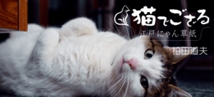 猫でござる～江戸にゃん草紙:イメージ