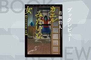 『カエルみたいな女 怪談青柳屋敷・新館』青柳碧人