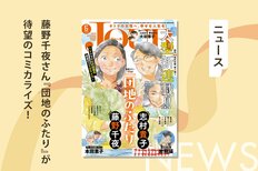 小泉今日子×小林聡美のW主演ドラマで話題となった、藤野千夜さん『団地のふたり』が待望のコミカライズ！　志村貴子さんの作画により「JOUR」にて連載開始:イメージ
