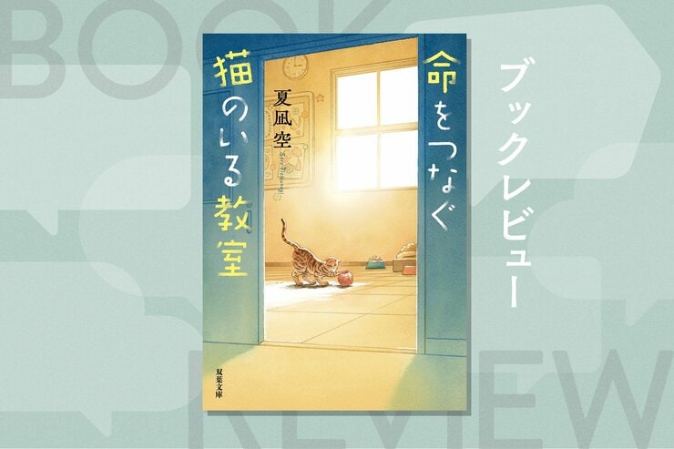 余命わずかな猫とハンディキャップを抱える子どもたちが起こす小さな奇跡。生きることの難しさと尊さを描く感動作！　『命をつなぐ猫のいる教室』夏凪空の画像