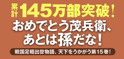 三河雑兵心得 15 関ケ原仁義 上