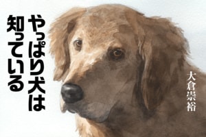 やっぱり犬は知っている:イメージ