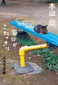 木皿食堂 4 毎日がこれっきり:書影