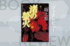 時は本土復帰直前。沖縄を舞台にした警察小説『渚の螢火』を著した坂上泉の歴史小説家としての力量を、作家・谷津矢車が語る:イメージ