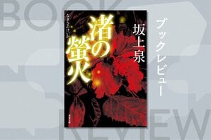 時は本土復帰直前。沖縄を舞台にした警察小説『渚の螢火』を著した坂上泉の歴史小説家としての力量を、作家・谷津矢車が語る:イメージ