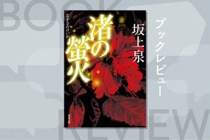時は本土復帰直前。沖縄を舞台にした警察小説『渚の螢火』を著した坂上泉の歴史小説家としての力量を、作家・谷津矢車が語る:イメージ
