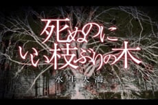 死ぬのにいい枝ぶりの木　第１回　僕が首を吊ろうとした木に、先客がいた