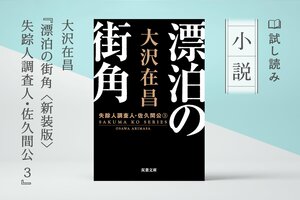 漂泊の街角 〈新装版〉失踪人調査人・佐久間公 3（3/3）:イメージ