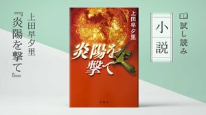 炎陽を撃て:イメージ