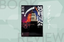国民のネット投票によって次々処刑される悪徳国会議員。この国のすべての人に民主主義の根幹を問いかける超過激政治エンターテインメント小説　『処刑国会』沢村鐵:イメージ