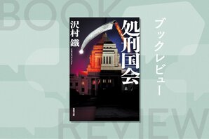 国民のネット投票によって次々処刑される悪徳国会議員。この国のすべての人に民主主義の根幹を問いかける超過激政治エンターテインメント小説　『処刑国会』沢村鐵:イメージ