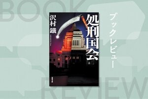 国民のネット投票によって次々処刑される悪徳国会議員。この国のすべての人に民主主義の根幹を問いかける超過激政治エンターテインメント小説　『処刑国会』沢村鐵:イメージ