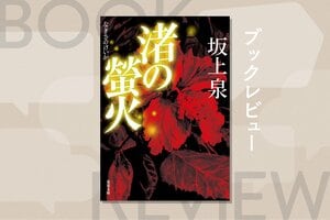 沖縄本土復帰直前。米ドルから日本円へ切り替わる混乱の裏で100万ドルが強奪された。沖縄の過酷な歴史と現実が浮かび上がる警察小説『渚の螢火』坂上泉:イメージ