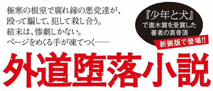 雪月夜〈新装版〉