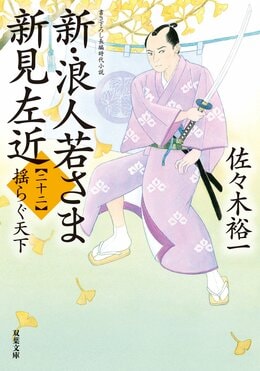 新・浪人若さま 新見左近 【二十二】 揺らぐ天下