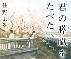 住野よる『君の膵臓をたべたい』:イメージ
