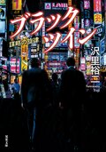 ブラックツイン 2 謀略の旋律:書影