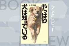もふもふワンコの前では死にかけの極悪ヤクザもメロメロ！　警察病院で働く癒やし系ファシリティドッグが犯罪者の秘密を聞き出し事件解決！　人気シリーズ第2弾『やっぱり犬は知っている』大倉崇裕:イメージ