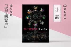 夜行観覧車（3/3）:イメージ